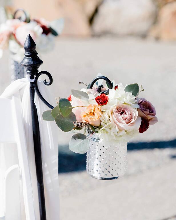 Plushphoto Schwingboth Photography