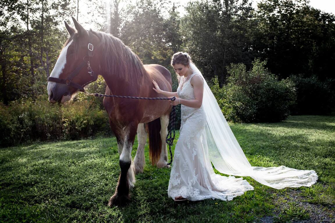 Alberto Ponce Photography and Video