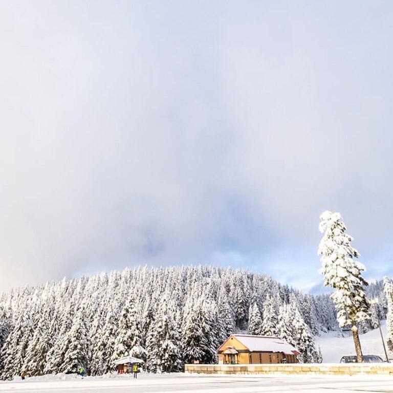 Mt Seymour Resort
