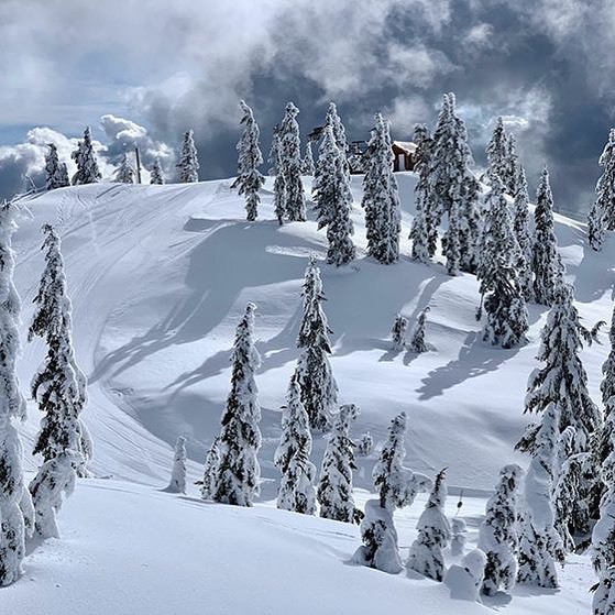 Mt Seymour Resort