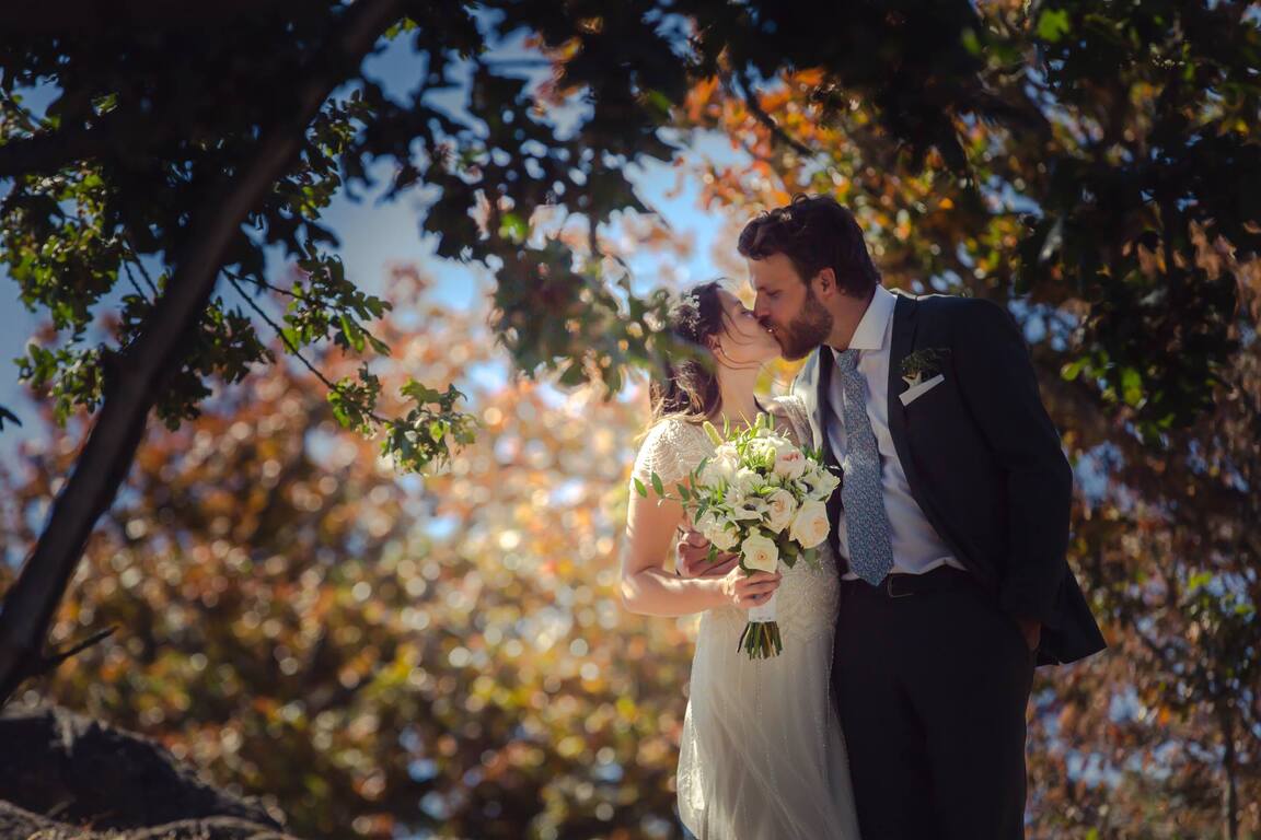 Sweet Currant Video and Photo