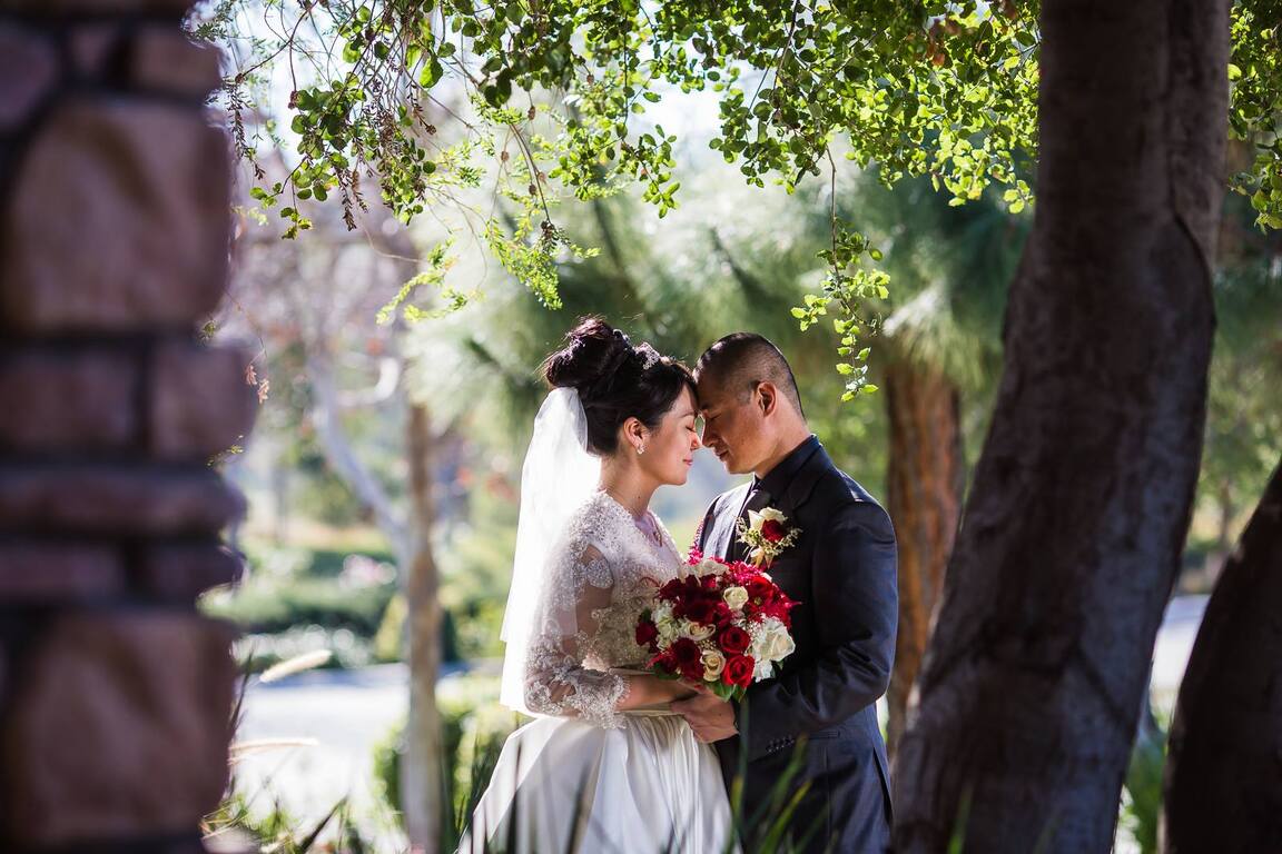 Lifetime Captures Photography