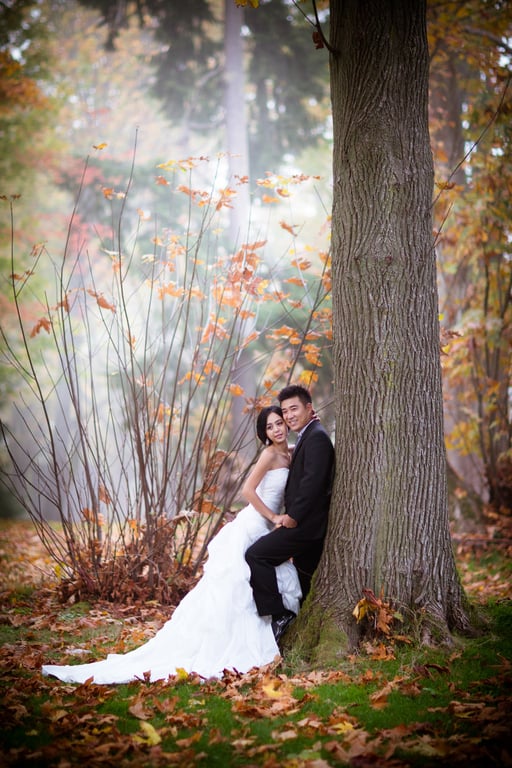 Wedding Story Cinema