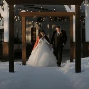 Wagging Tail Studios