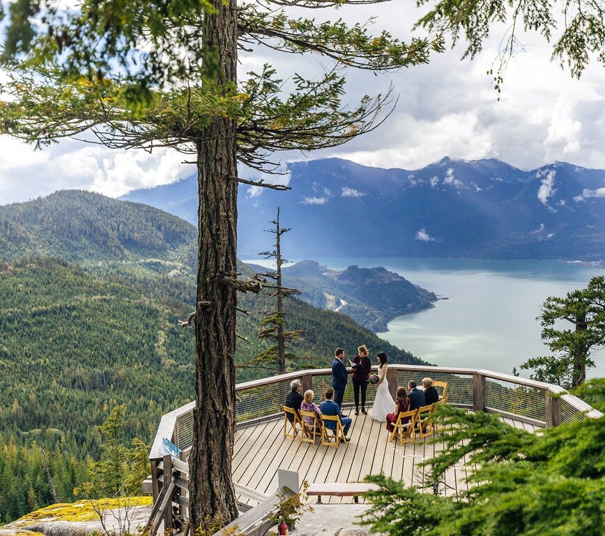 Pear Tree Photography