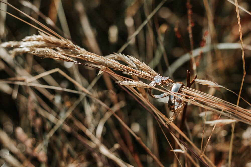 Molly Jane Photography