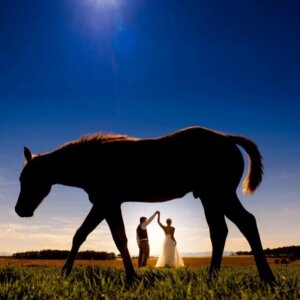 Sean LeBlanc Photography