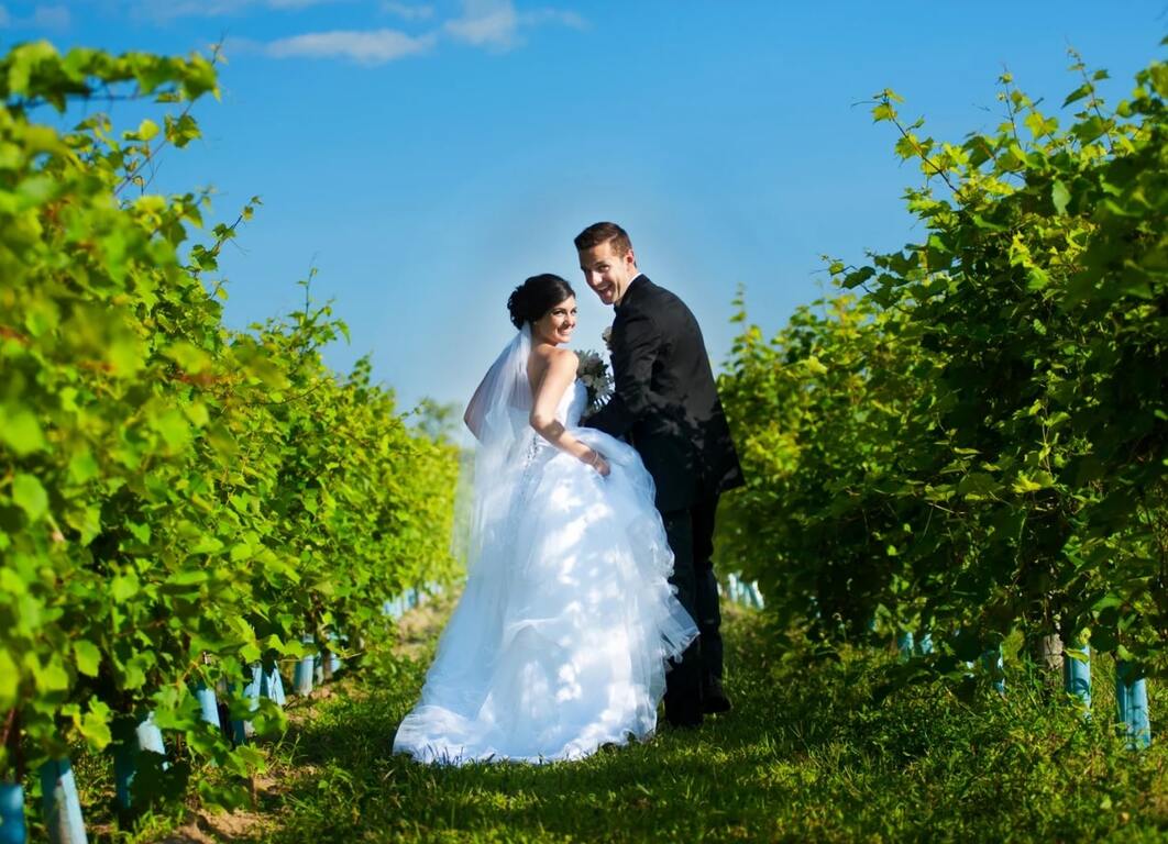 Studio Iris Photography