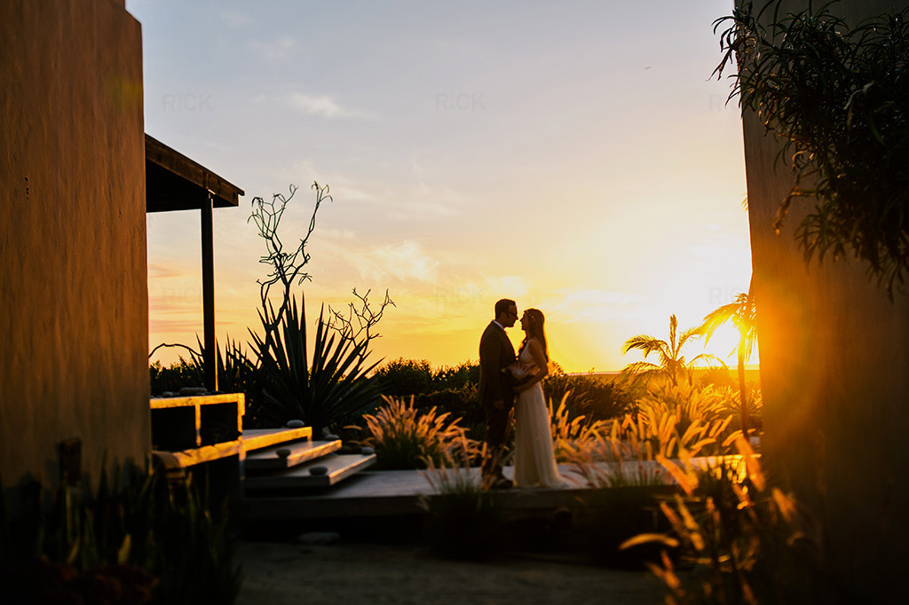 Rick Collins Photography