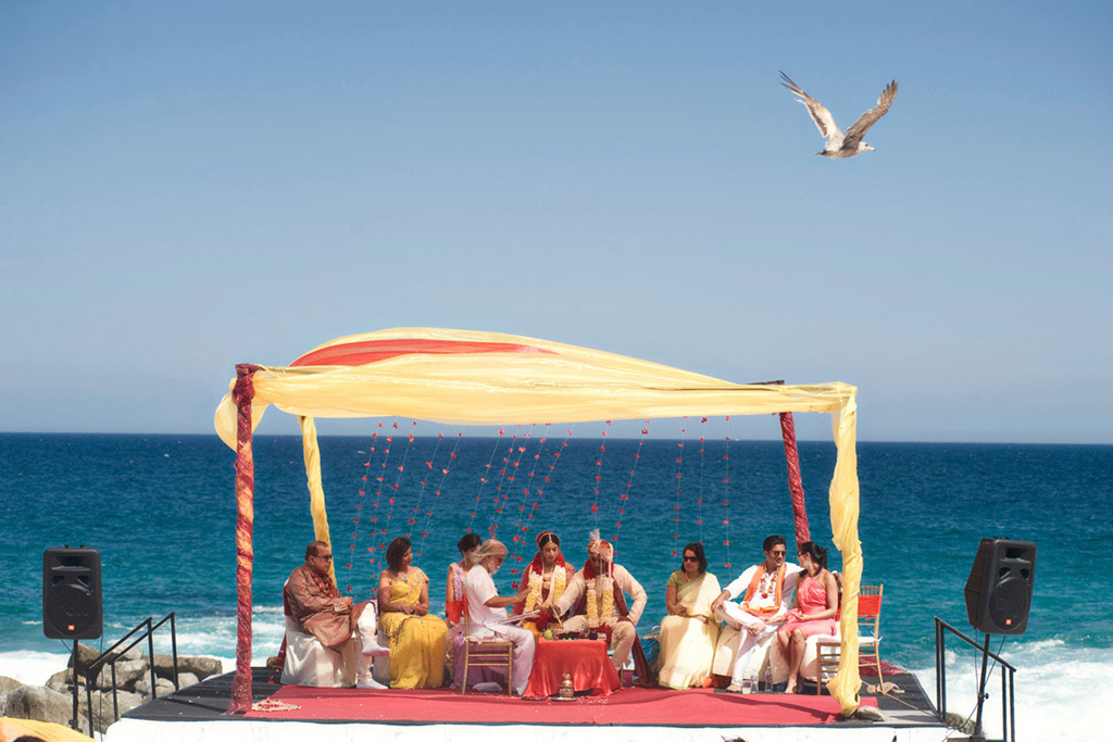 Rick Collins Photography