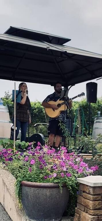 Two's a Pair - Live Entertainment