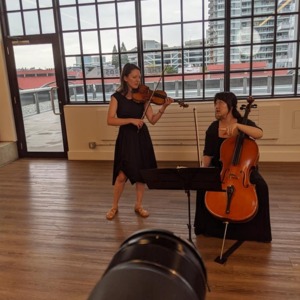 Violin for your Wedding