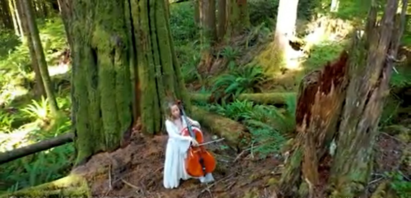 CelloBride