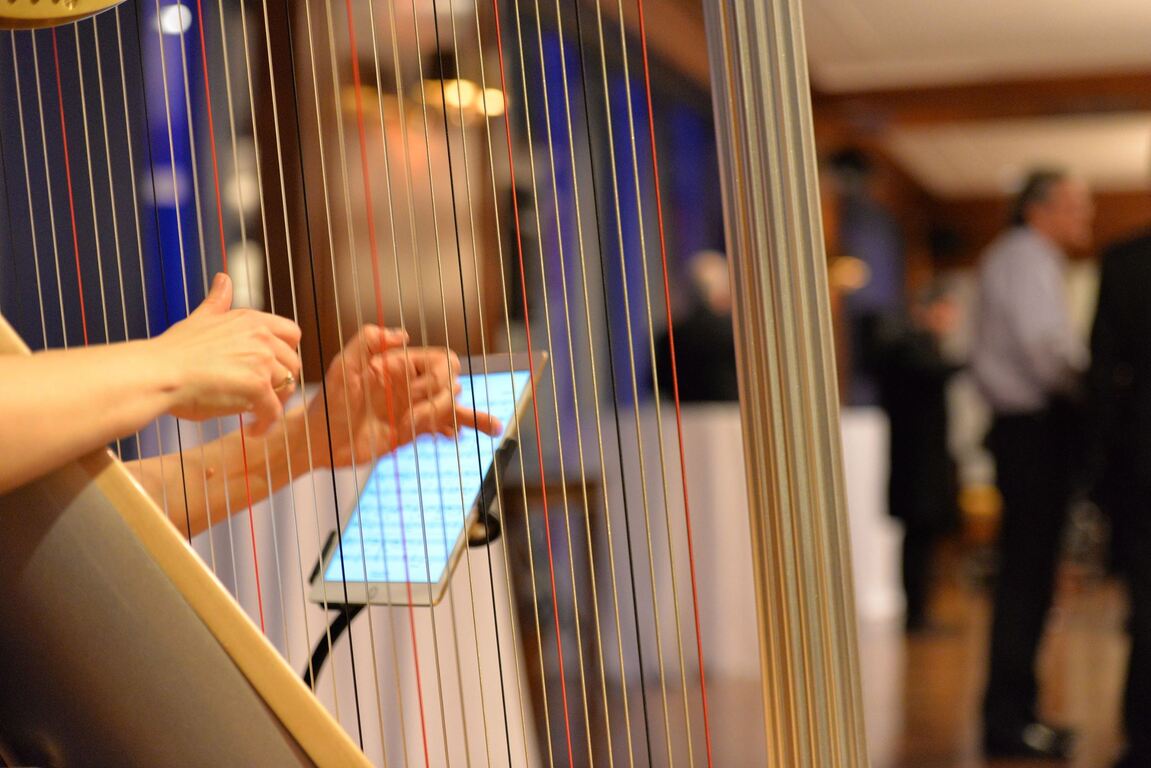 Veronique Couturier Harpist