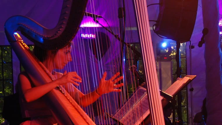 Veronique Couturier Harpist