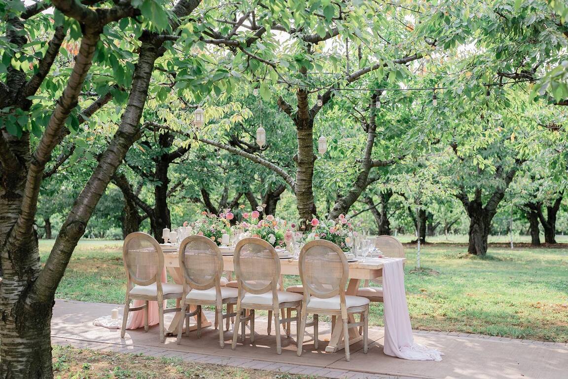 Beth Jacobs Weddings and Events