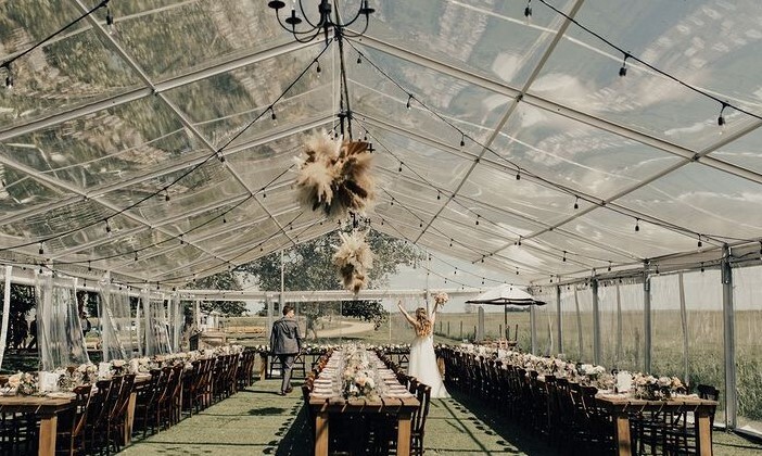 Morgan and Vine Events