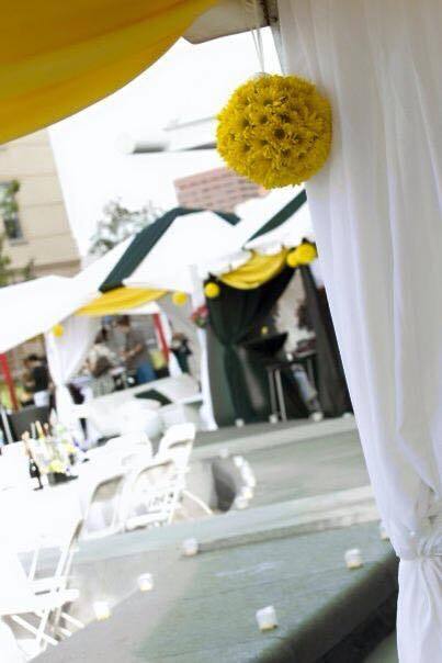 Tobie Orr Productions