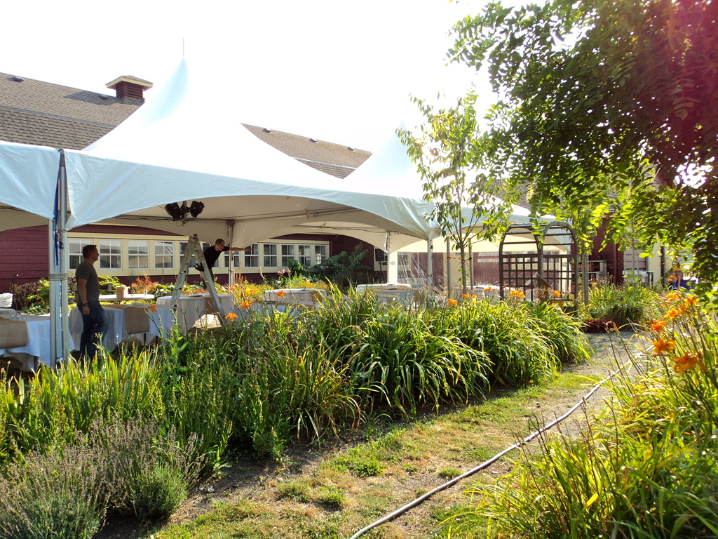 Earthwise Society Garden