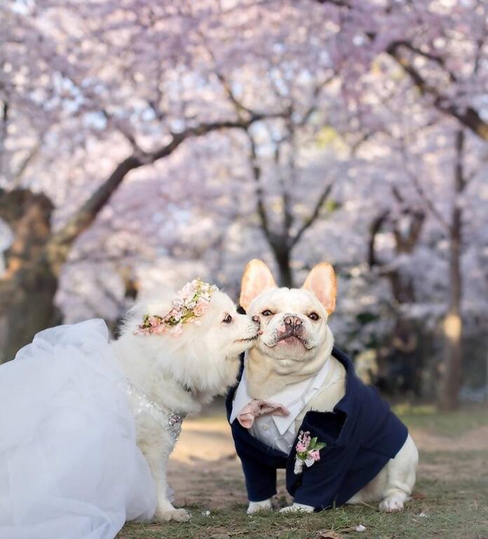 PAL Insurance Brokers Canada