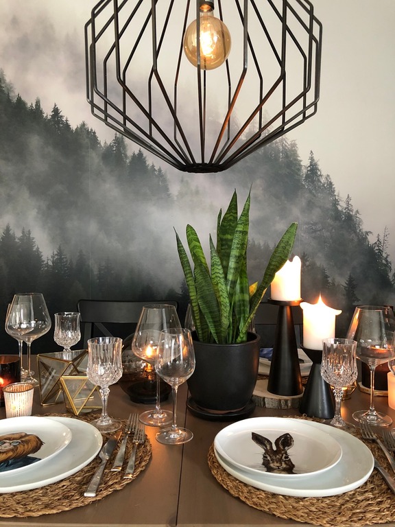 Katie and Co. Occasions