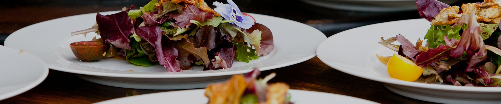 Wildwood Hospitality