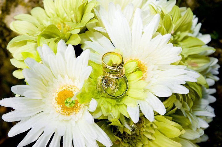 Treasured Moments Flowers and Gifts