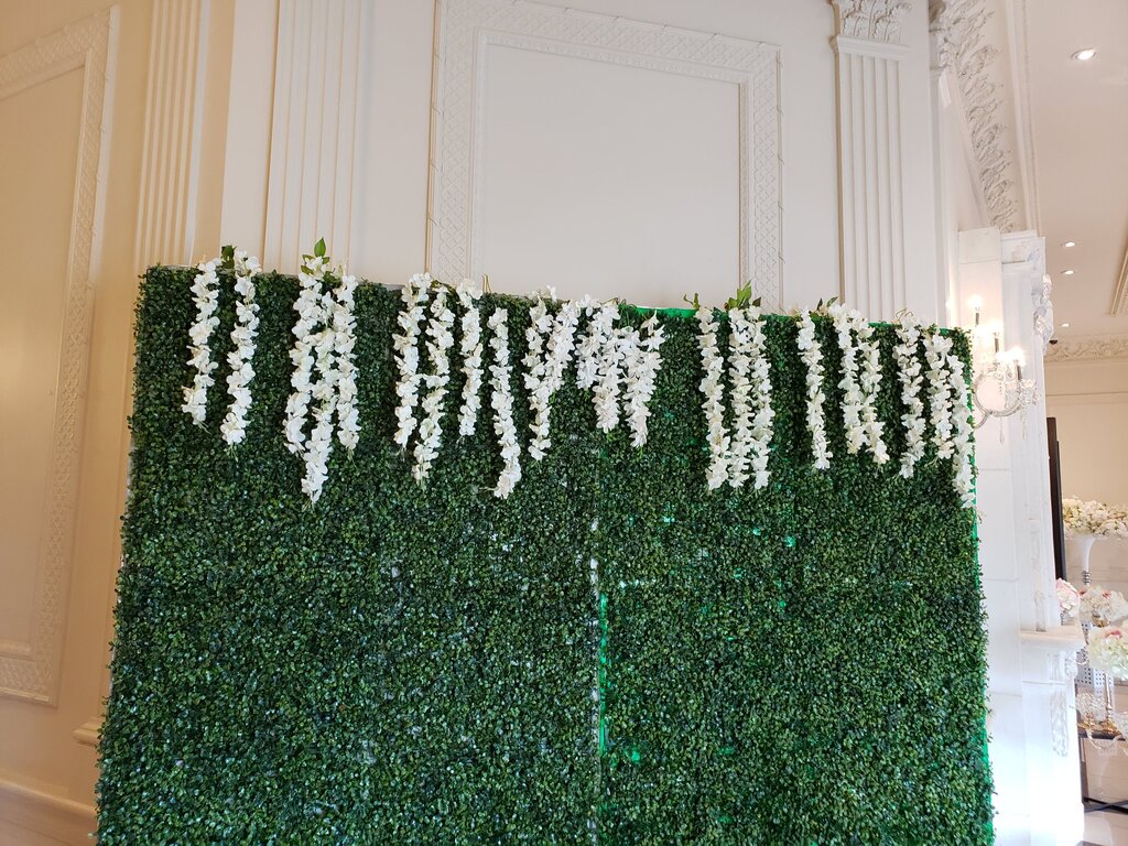 Backdrop Rental Company