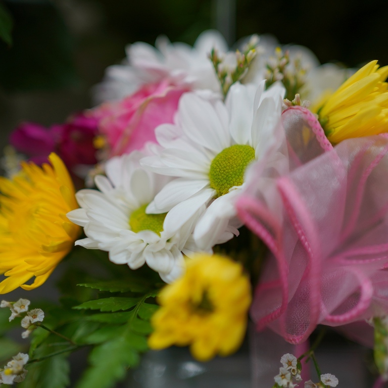 Forest of Flowers