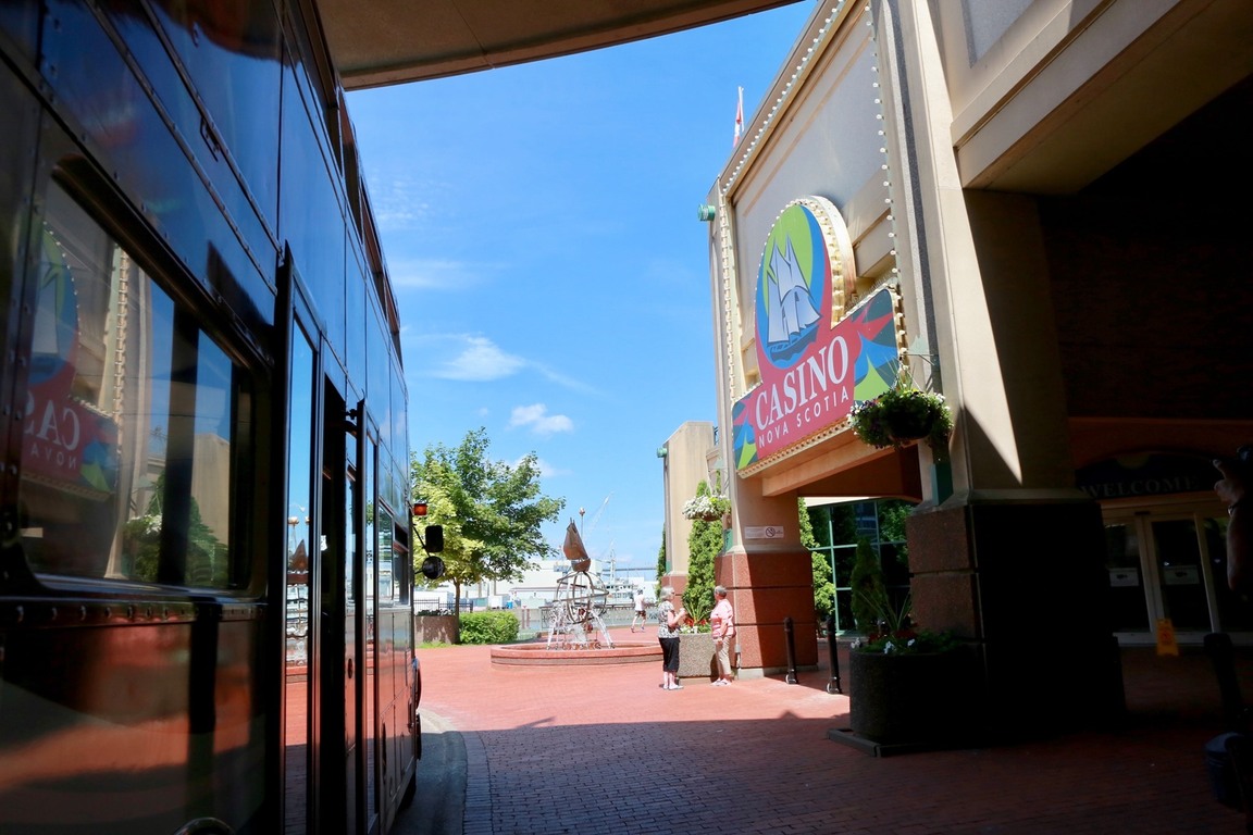 Ambassatours Gray Line