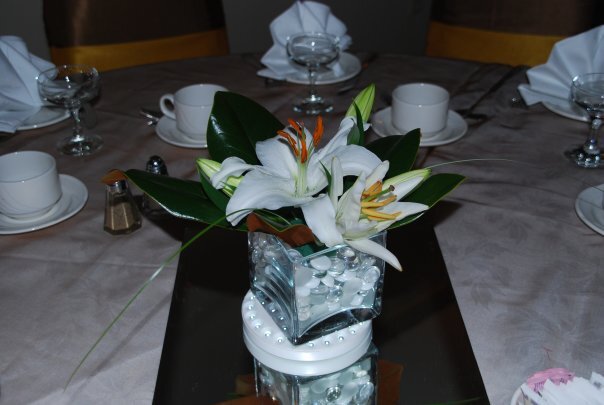 Missy Qi Event Decor and Design