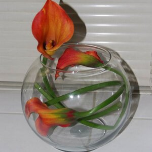 Missy Qi Event Decor and Design