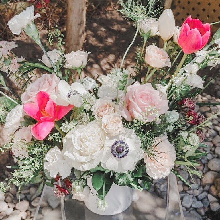 Bloomberry and Co