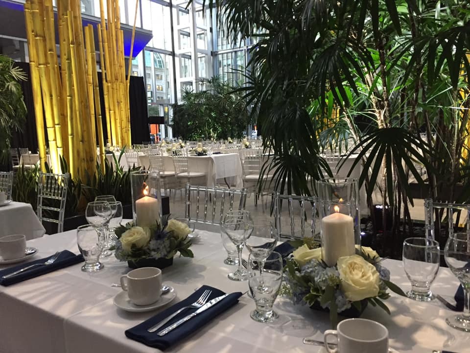 Eleganza Lighting and Decor