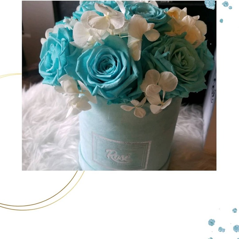 Rose Designs
