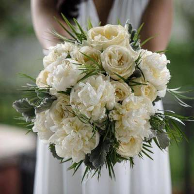 Arum Lily Flower Shop Edmonton