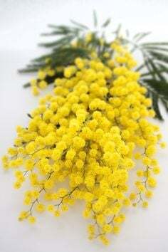 House Of Floral Designs