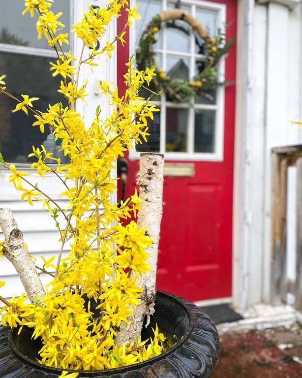 Eszter Czibok Designs