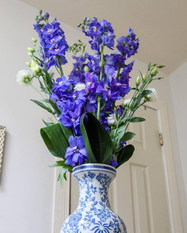 Eszter Czibok Designs