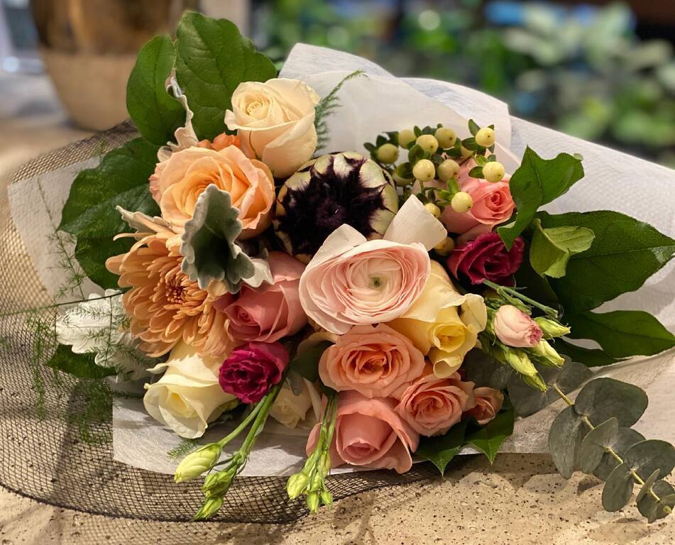 Terra Plants and Flowers