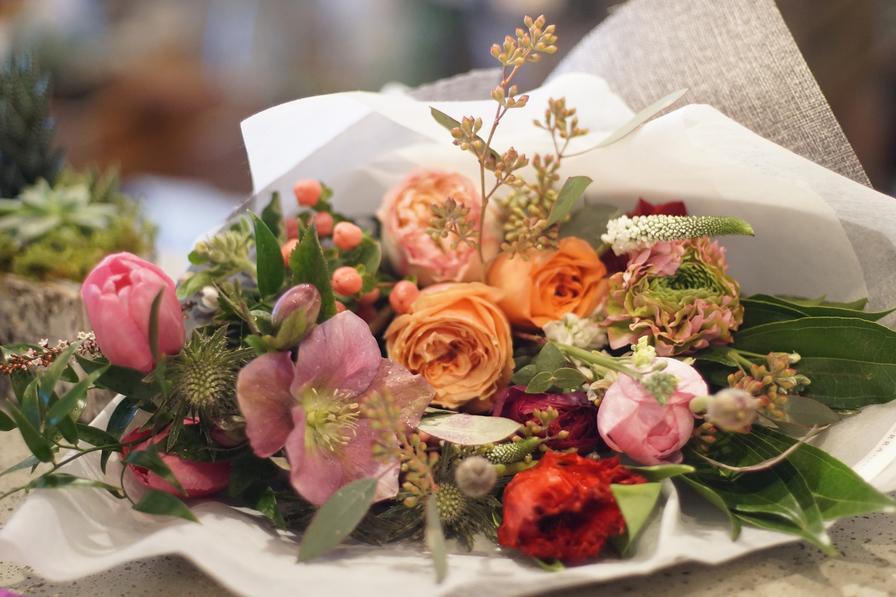 Terra Plants and Flowers