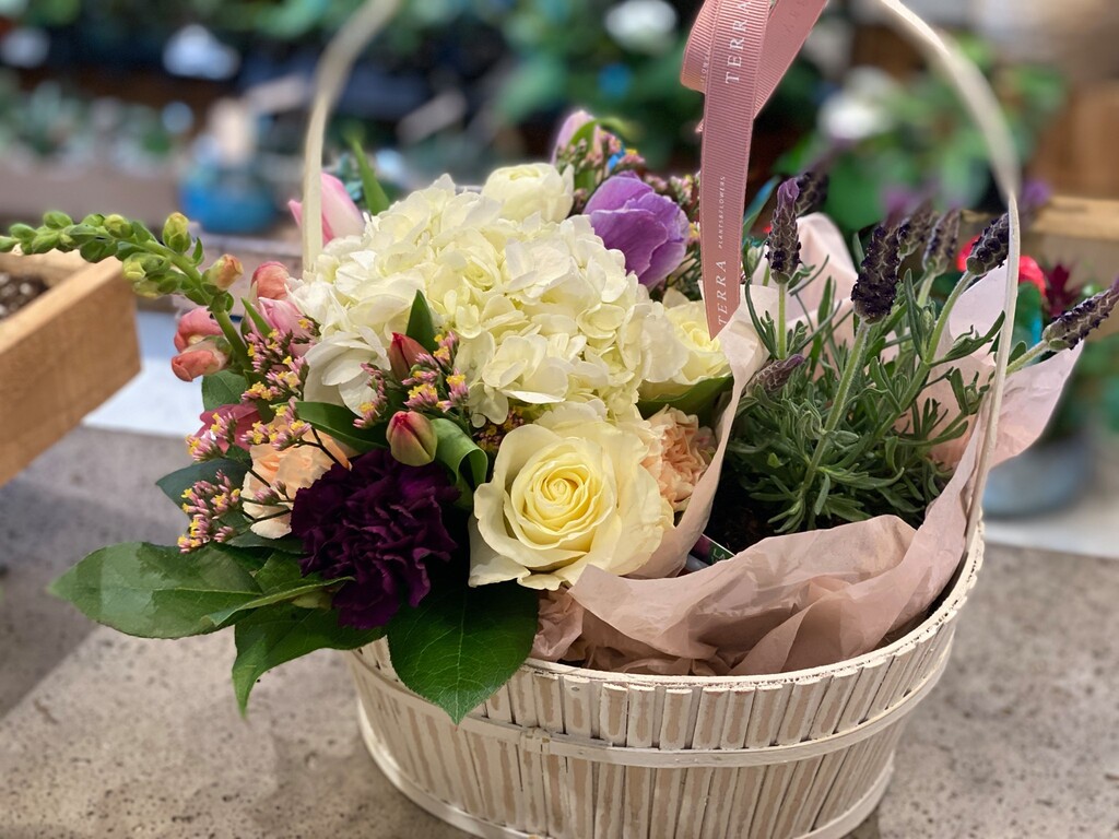 Terra Plants and Flowers