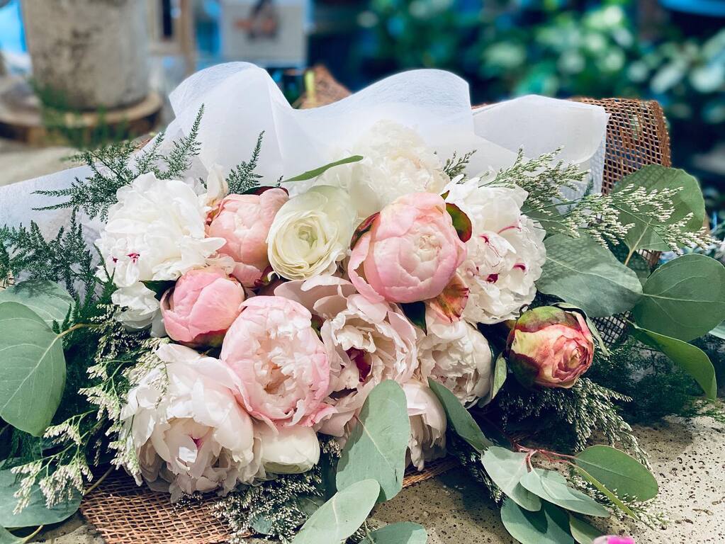 Terra Plants and Flowers