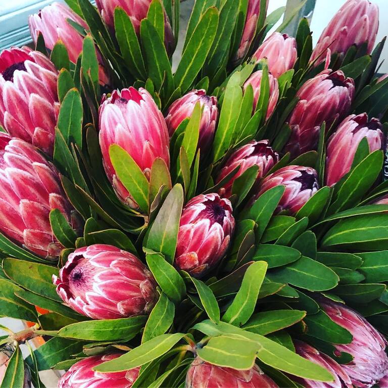 FLEURtacious by Lynda Marie