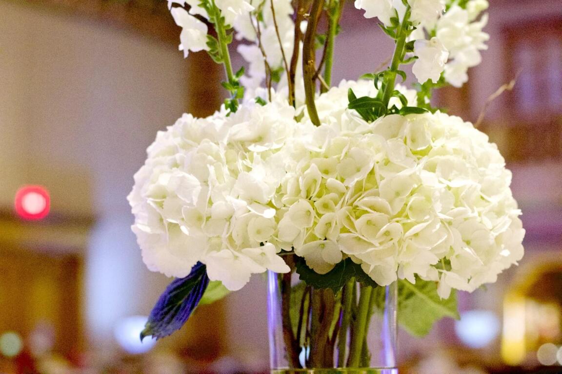 Soiree Event Rentals Ltd.