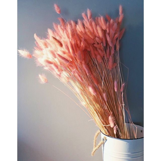 Designs by Alexis Rose