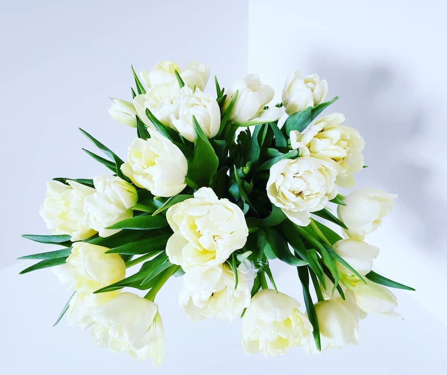 Celebrate Lavish Arrangements