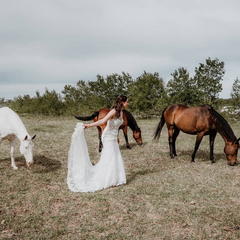 Nile Bridal and Alterations