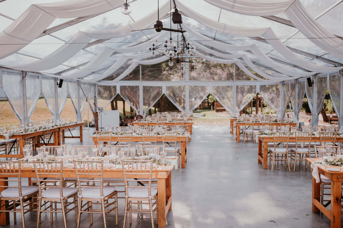 Tricia Bachewich Events