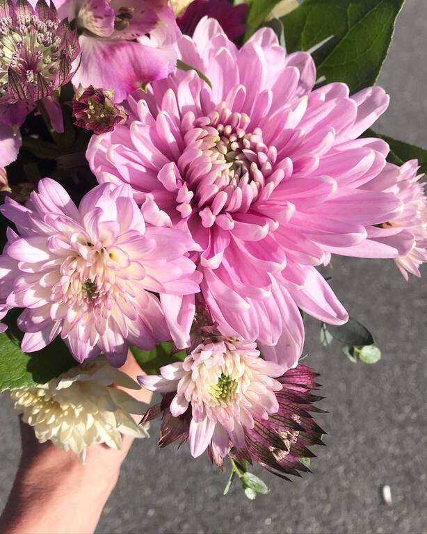 Orchard Lane Floral Design